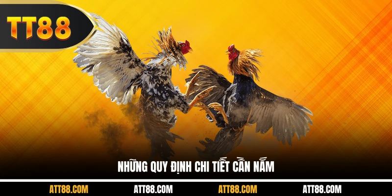 Những quy định chi tiết cần nắm
