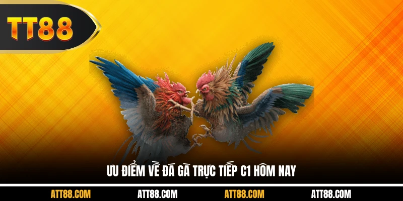 Ưu điểm về đá gà trực tiếp C1 hôm nay